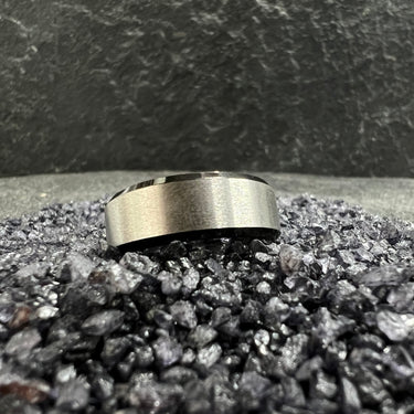 Sleek Plain silver matte with a polished black stainless steel